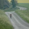 296-dsc_6492