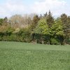 IMG_1941