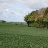 IMG_2020